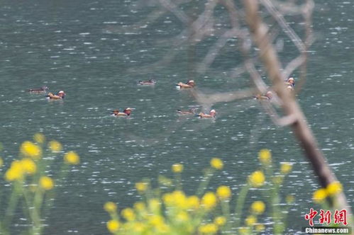 生態環境部 1至4月129個城市環境空氣質量達標 綜合治理成效顯著
